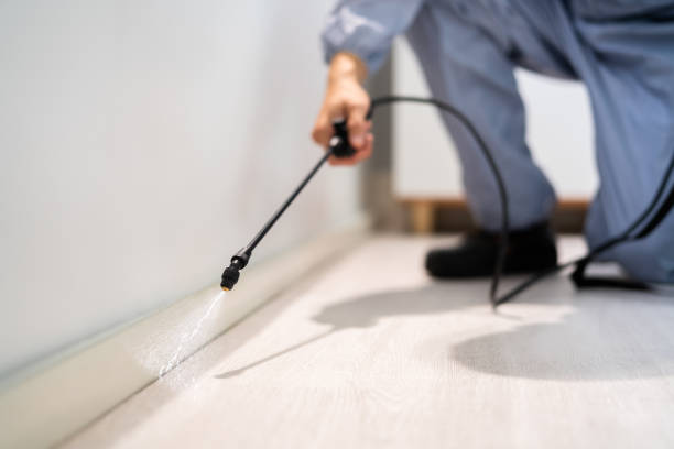 Certified termite inspector examining foundation in Lockwood