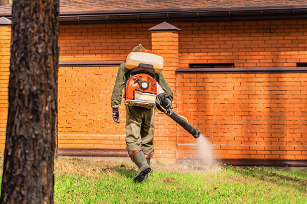 Bed Bug Clearance Verification and Documentation in Lockwood